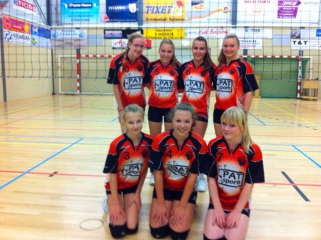 Team van volleybal